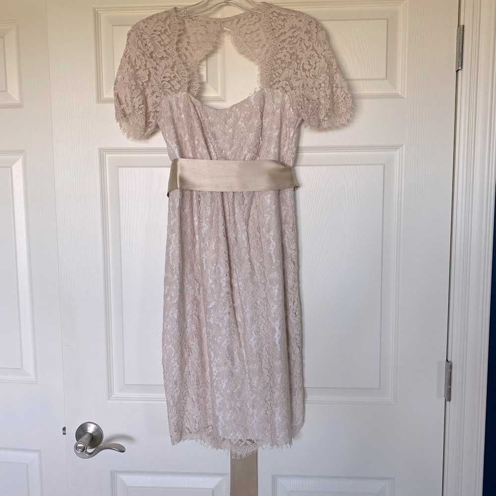 Seraphine cut out lace maternity dress